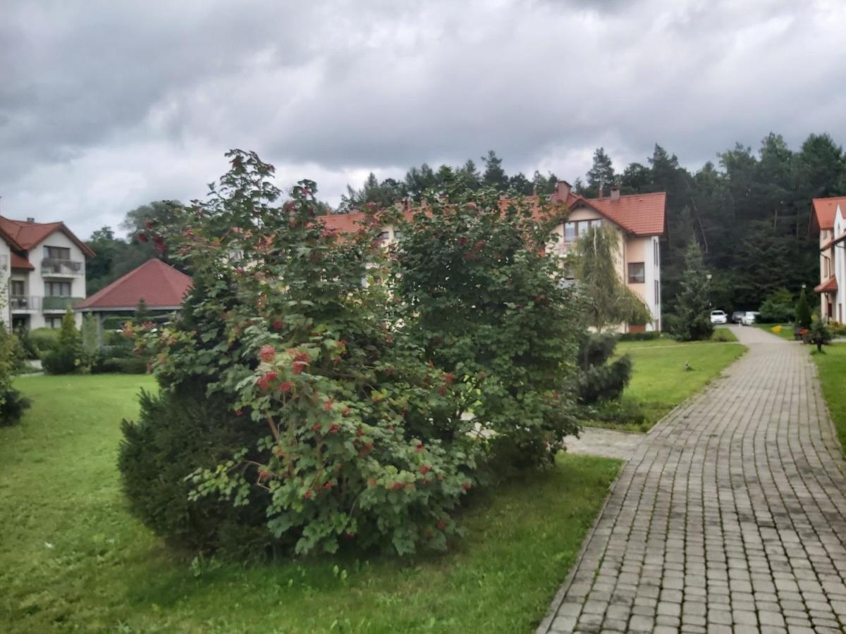 Mieszkanie Z Ogrodkiem W Ustroniu Ustron
